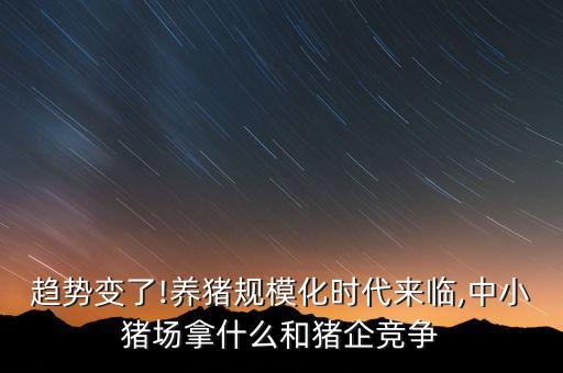 榮成自動(dòng)化養(yǎng)豬設(shè)備公司,自動(dòng)化養(yǎng)豬設(shè)備有哪些?