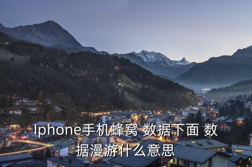 Iphone手機蜂窩 數(shù)據(jù)下面 數(shù)據(jù)漫游什么意思