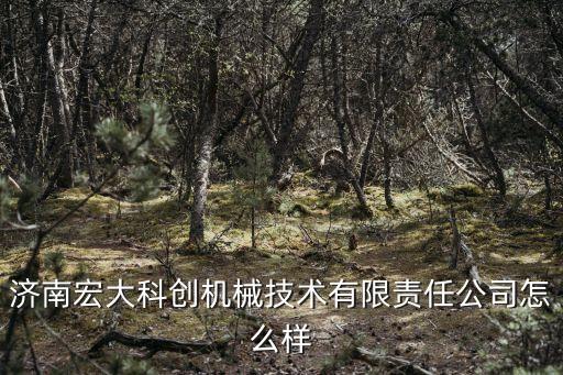 濟(jì)南宏大科創(chuàng)機(jī)械技術(shù)有限責(zé)任公司怎么樣