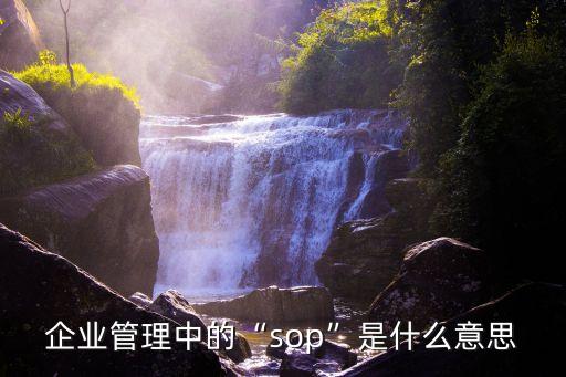 企業(yè)管理中的“sop”是什么意思