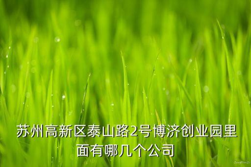  蘇州高新區(qū)泰山路2號博濟創(chuàng)業(yè)園里面有哪幾個公司