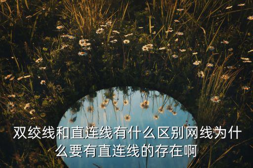 雙絞線的作用,大對(duì)數(shù)雙絞線的作用
