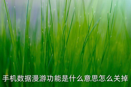 5s數(shù)據(jù)漫游什么意思,數(shù)據(jù)漫游有何意思?