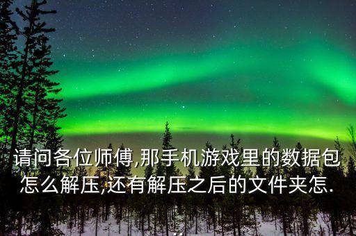請(qǐng)問各位師傅,那手機(jī)游戲里的數(shù)據(jù)包怎么解壓,還有解壓之后的文件夾怎...