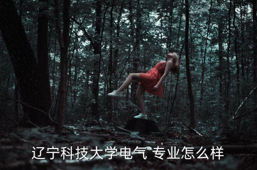 遼寧科技大學(xué)電氣 專業(yè)怎么樣