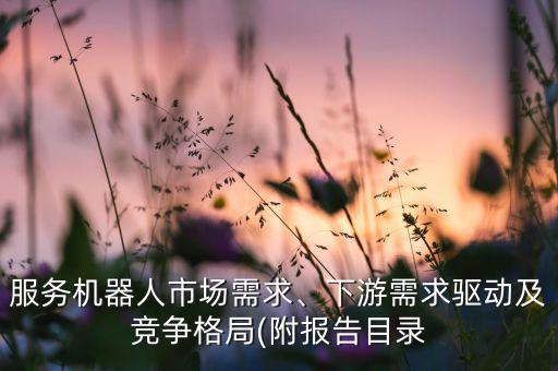 服務機器人市場需求、下游需求驅(qū)動及競爭格局(附報告目錄