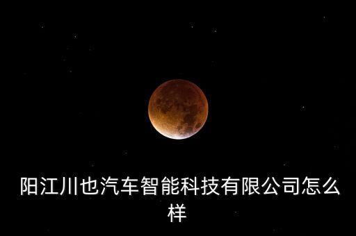  陽江川也汽車智能科技有限公司怎么樣