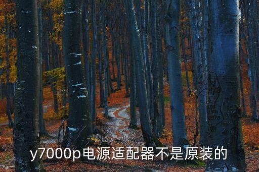 y7000p電源適配器不是原裝的