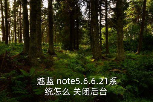  魅藍(lán) note5.6.6.21系統(tǒng)怎么 關(guān)閉后臺