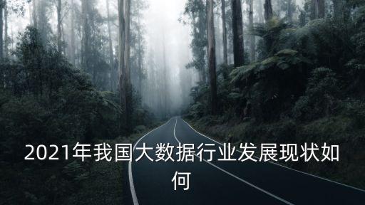 2021年我國大數(shù)據(jù)行業(yè)發(fā)展現(xiàn)狀如何