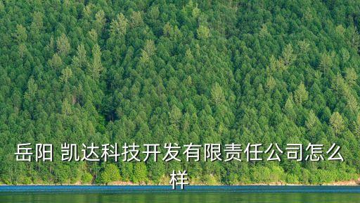 岳陽(yáng) 凱達(dá)科技開(kāi)發(fā)有限責(zé)任公司怎么樣