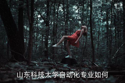 山東科技大學(xué)自動化專業(yè)如何