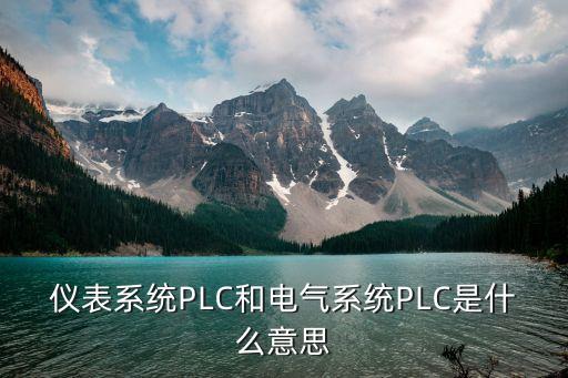 儀表系統PLC和電氣系統PLC是什么意思