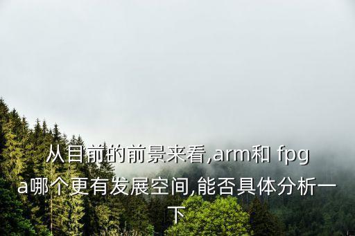 大數(shù)據(jù) fpga