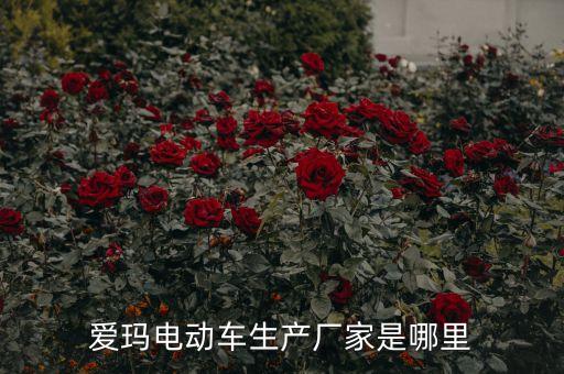 臺洲雙茂自動化有限公司,全球著名軟件公司名單出爐