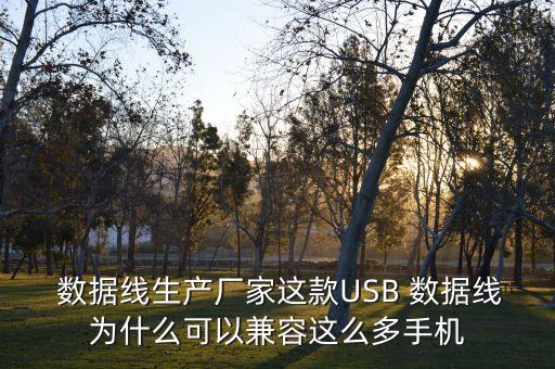 鑫盾蘋果數(shù)據(jù)線好嘛,蘋果用普通的數(shù)據(jù)線充電對手機好嘛
