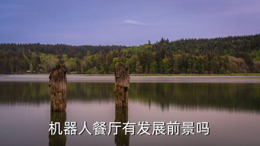 機器人餐廳有發(fā)展前景嗎