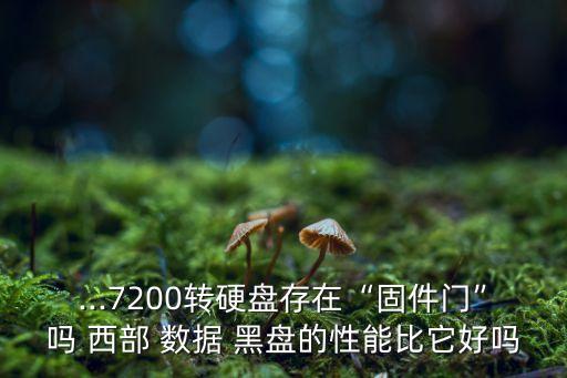 ...7200轉(zhuǎn)硬盤存在“固件門”嗎 西部 數(shù)據(jù) 黑盤的性能比它好嗎