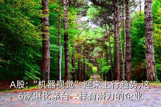 a股自動化公司,上海電氣集團下屬五家企業(yè)上市