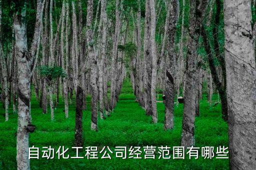 俄羅斯餐廳自動化設(shè)備安裝,自動鉆孔機控制器指令版怎樣安裝