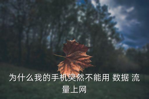 開啟不了移動數(shù)據(jù)流量嗎,華為手機怎么開啟移動數(shù)據(jù)流量
