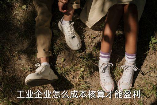 工業(yè)企業(yè)怎么成本核算才能盈利