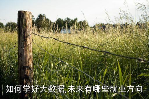 大數(shù)據(jù)人才如何培養(yǎng),大數(shù)據(jù)人才培養(yǎng)之路該如何走?