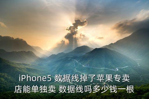 iphone5數(shù)據(jù)線哪里買,iPhone5用的什么數(shù)據(jù)線