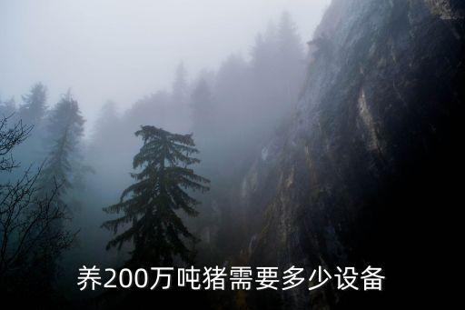 養(yǎng)200萬噸豬需要多少設(shè)備