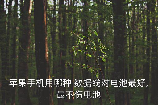 iphone 數(shù)據(jù)線推薦按,IPhone數(shù)據(jù)線傳輸數(shù)據(jù)