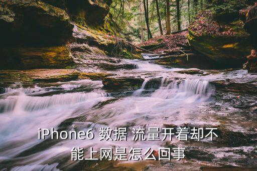 iPhone6 數(shù)據(jù) 流量開著卻不能上網(wǎng)是怎么回事
