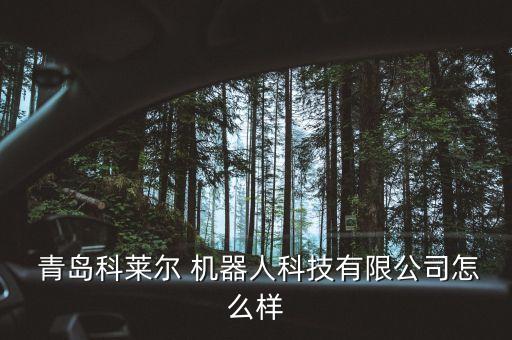 青島智能娛樂機(jī)器人