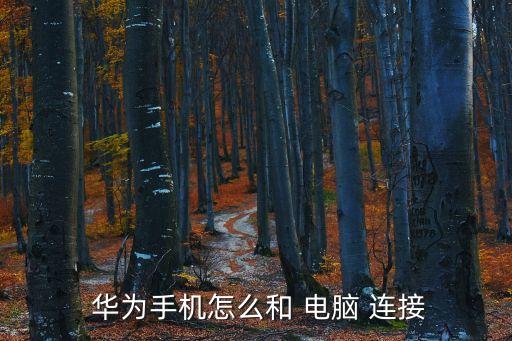  華為手機(jī)怎么和 電腦 連接