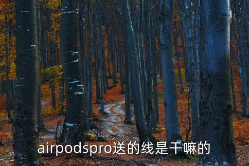 閃電轉(zhuǎn)usb是數(shù)據(jù)線嗎,usb-c轉(zhuǎn)閃電連接線是什么?