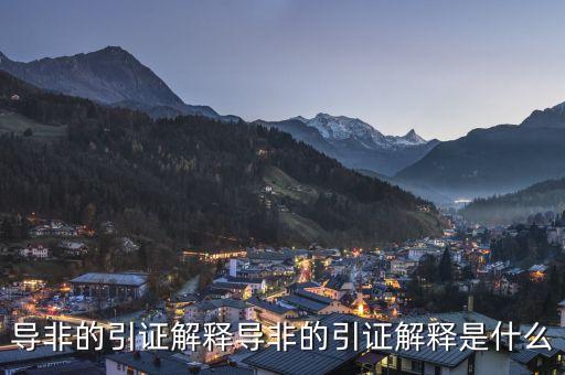 導(dǎo)非的引證解釋導(dǎo)非的引證解釋是什么