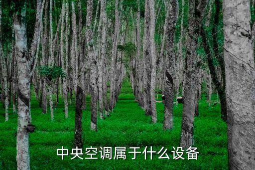 中央空調(diào)屬于什么設(shè)備
