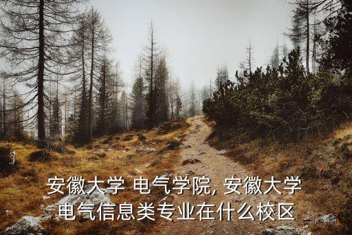  安徽大學(xué) 電氣學(xué)院, 安徽大學(xué) 電氣信息類專業(yè)在什么校區(qū)