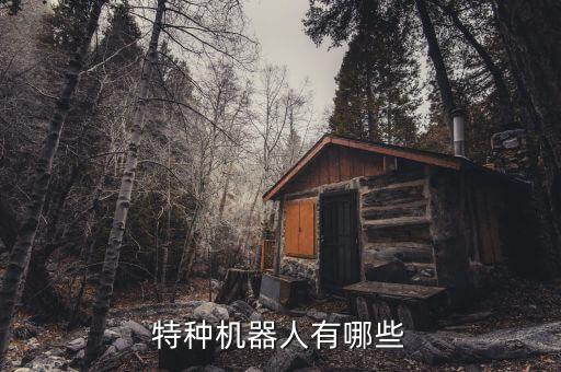 特種機(jī)器人有哪些