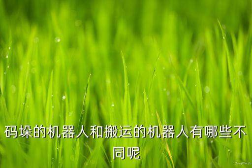 泡沫碼垛機(jī)自動(dòng)化設(shè)備,自動(dòng)化機(jī)械碼垛機(jī)能用來碼垛什么?