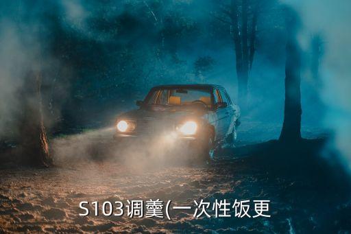 s103,從鄂爾多斯出口到湖北省道怎么走?