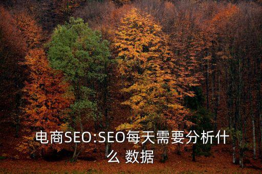  電商SEO:SEO每天需要分析什么 數(shù)據(jù)