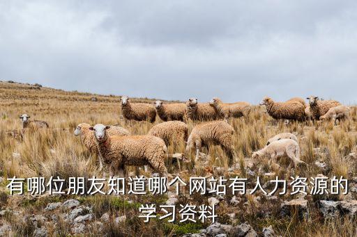 及時訊數(shù)據(jù),時訊人才網(wǎng)人才數(shù)據(jù)免費注冊!