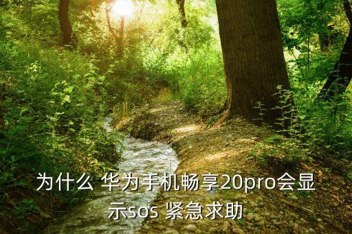 為什么 華為手機暢享20pro會顯示sos 緊急求助