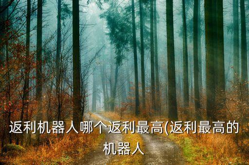 返利機(jī)器人哪個(gè)返利最高(返利最高的機(jī)器人
