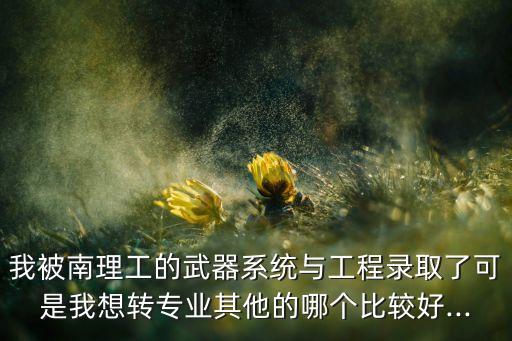 我被南理工的武器系統(tǒng)與工程錄取了可是我想轉(zhuǎn)專業(yè)其他的哪個比較好...