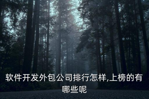 軟件開發(fā)外包公司排行怎樣,上榜的有哪些呢