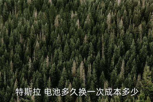  特斯拉 電池多久換一次成本多少