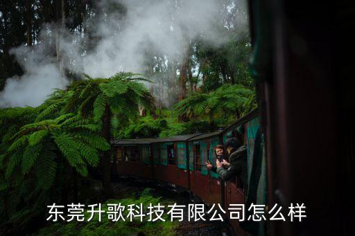 東莞升歌科技有限公司怎么樣