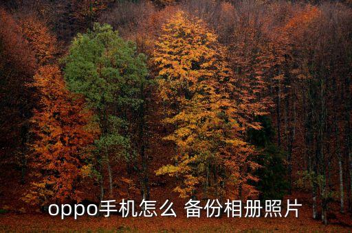 回家 自動備份照片