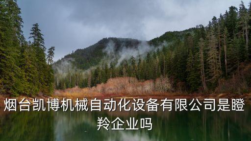 煙臺(tái)凱博機(jī)械自動(dòng)化設(shè)備有限公司是瞪羚企業(yè)嗎